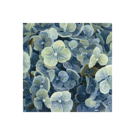 CC040