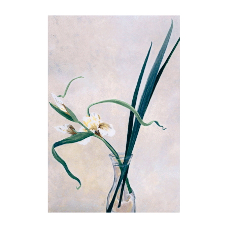 CC066
